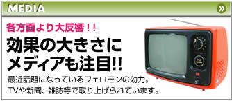 ���ʂ̑傫���Ƀ��f�B�A�����ځI�I